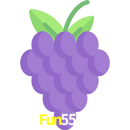 Fun5566